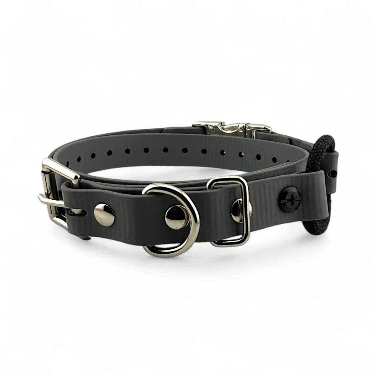 E-Collar Technologies 3/4" Quick-Snap Bungee Collar Strap
