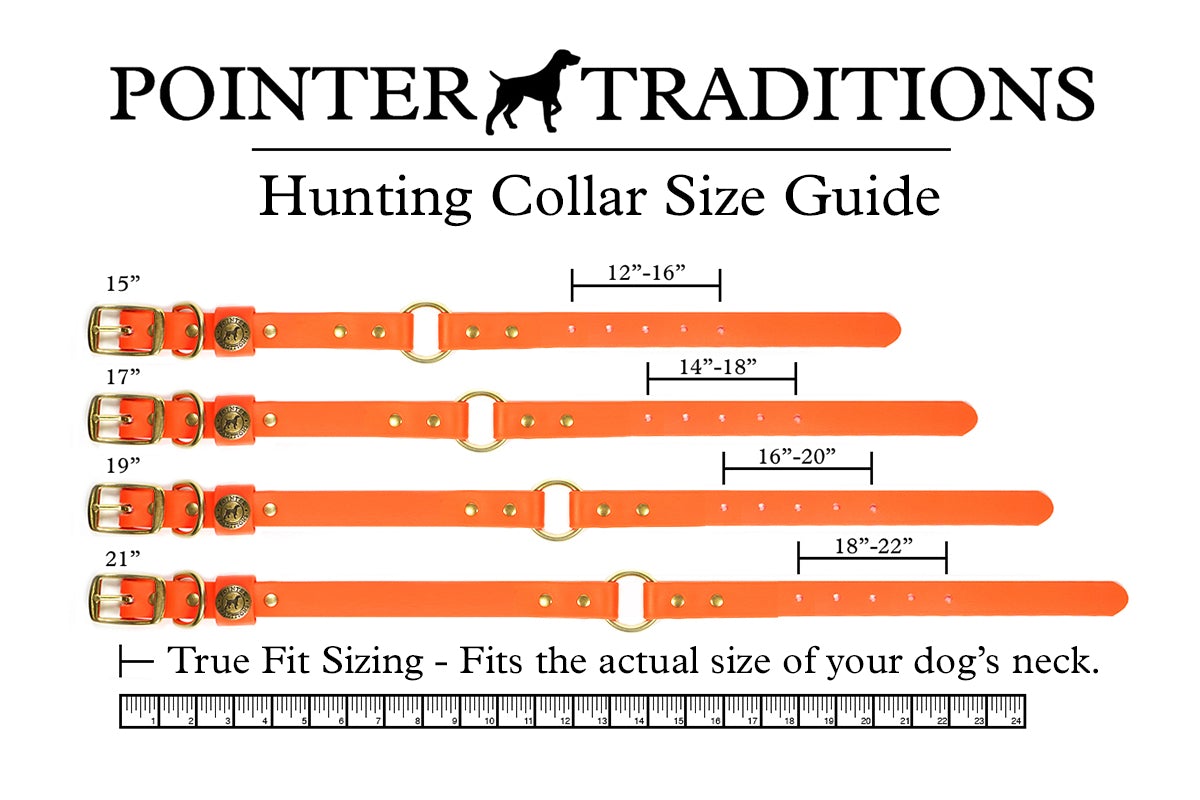 Pointer Traditions Hunting Dog Center Ring Collar - Wingshooter Vintage Camo