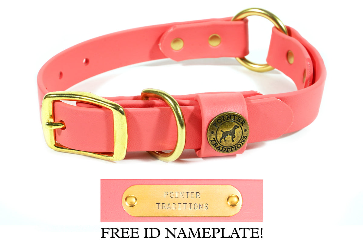Pointer Traditions Dog Center Ring Collar - Coral