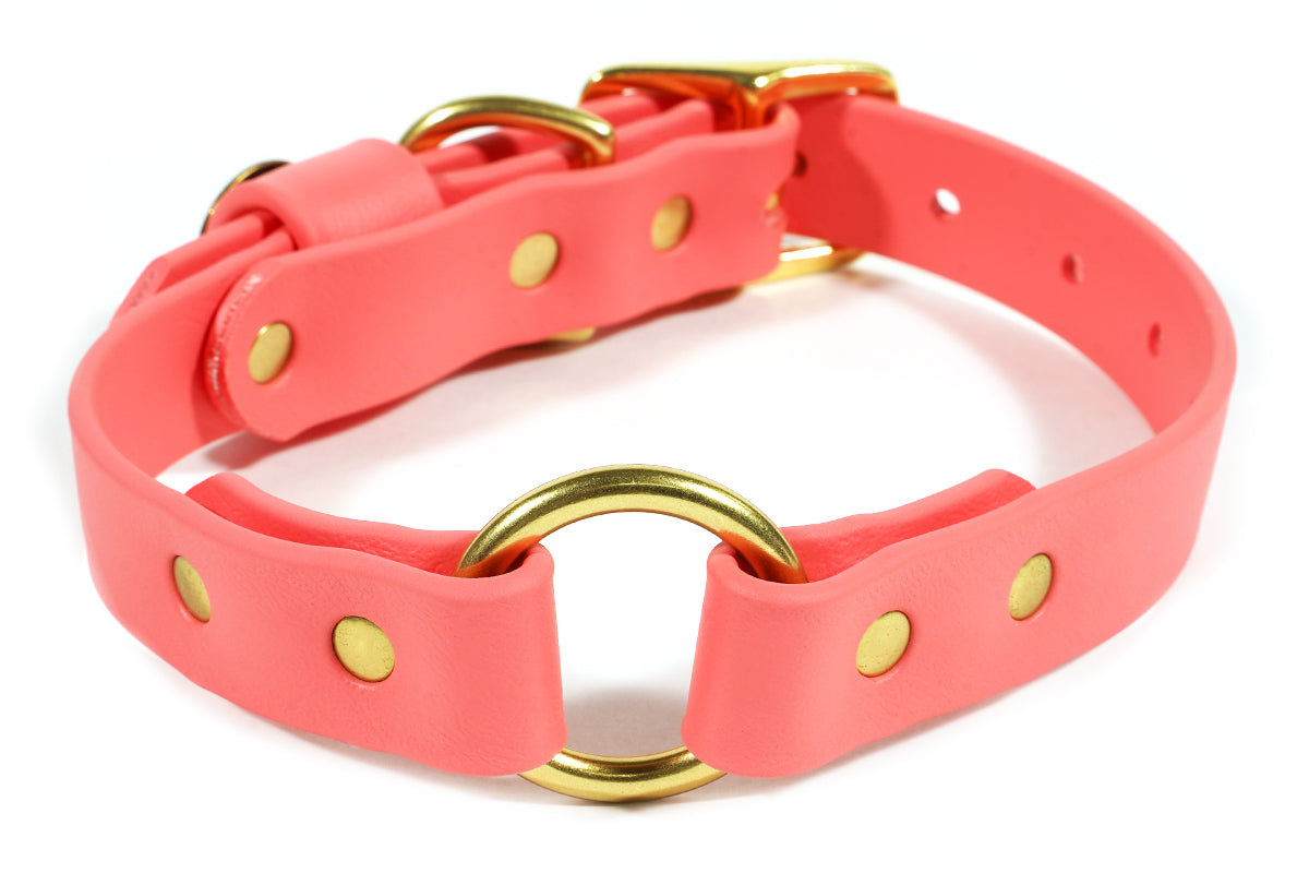 Pointer Traditions Dog Center Ring Collar - Coral