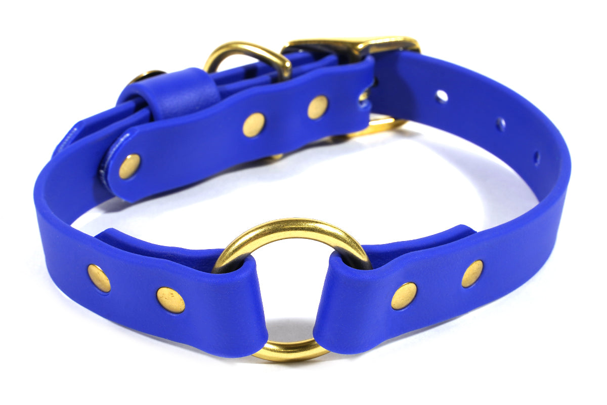 Pointer Traditions Hunting Dog Center Ring Collar - River Blue