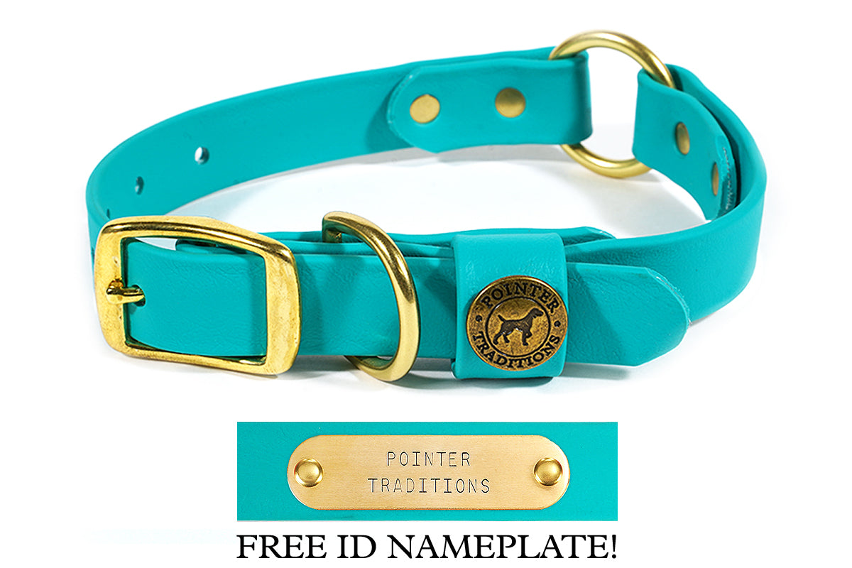 Pointer Traditions Hunting Dog Center Ring Collar - Teal
