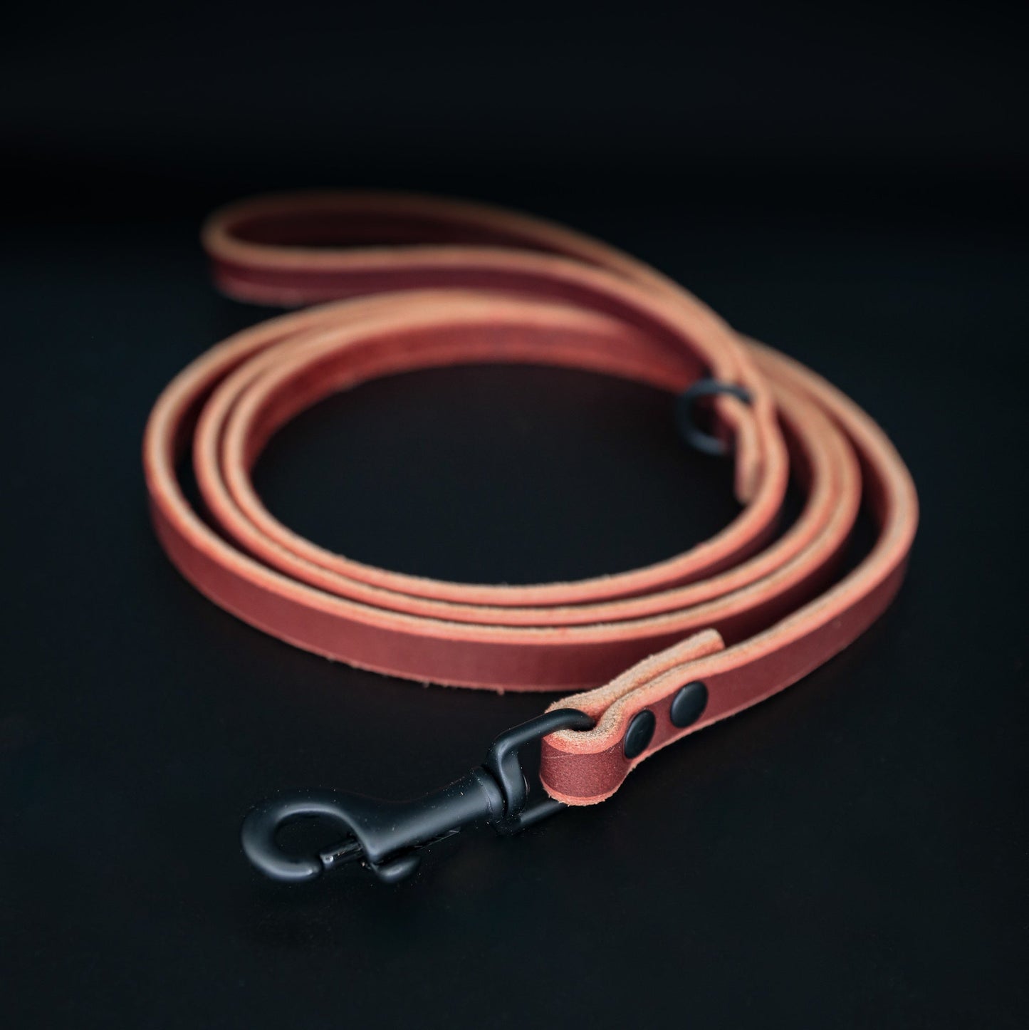 The Golden Ranch The Everyday Leash