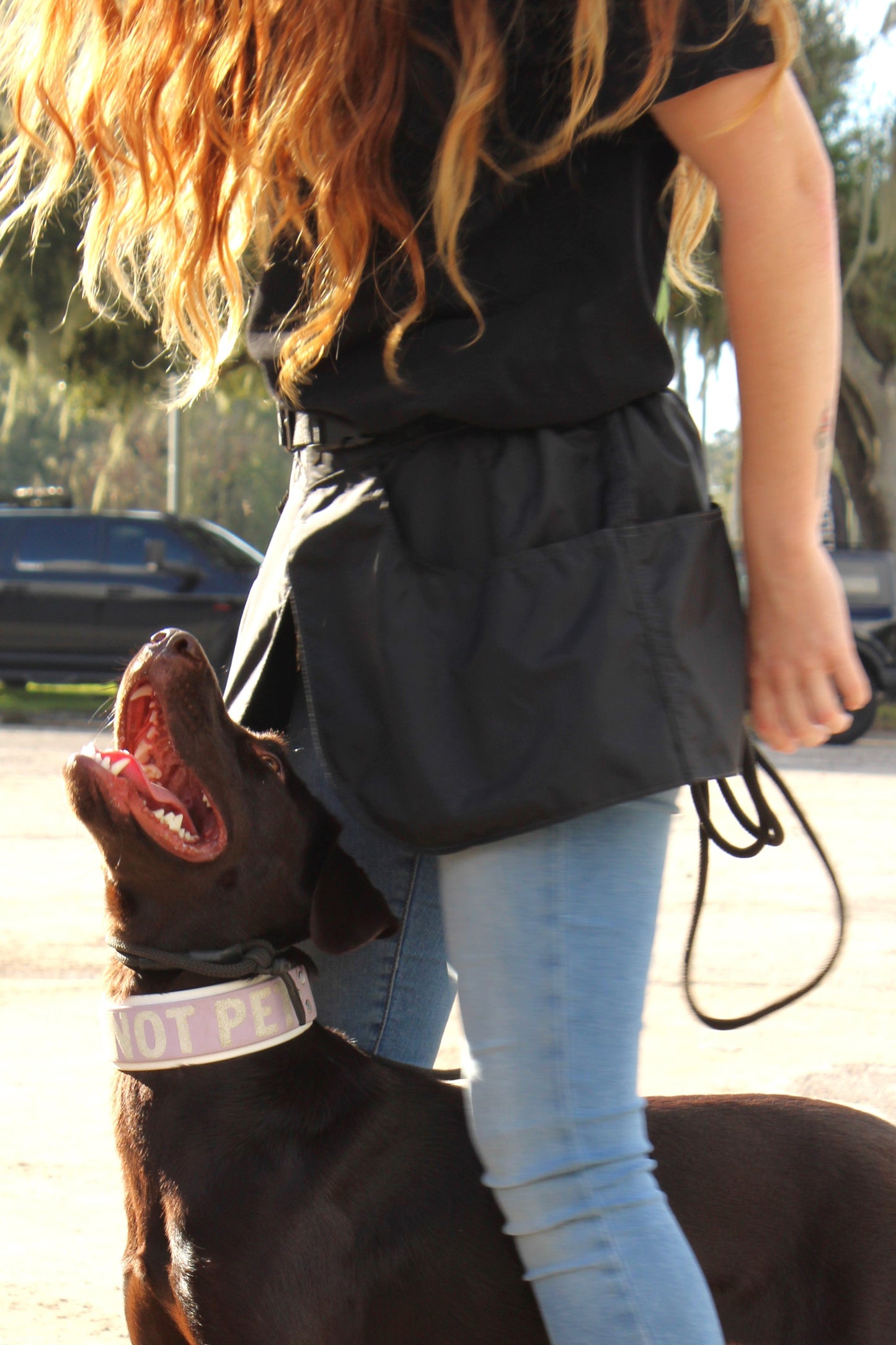 Zawar Snack Rack Training Garment