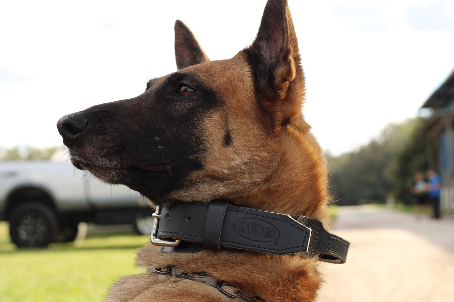 Zawar Genuine Leather Collar with Handle