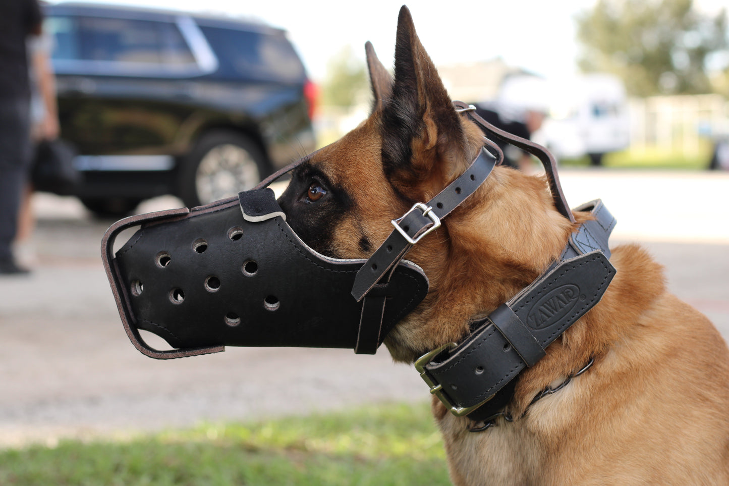 Zawar German Shepherd Genuine Leather Immobilization Muzzle
