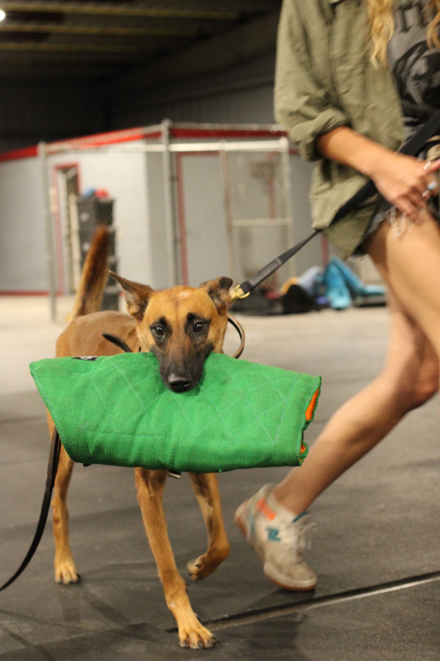 Zawar Canvas Dog Leash