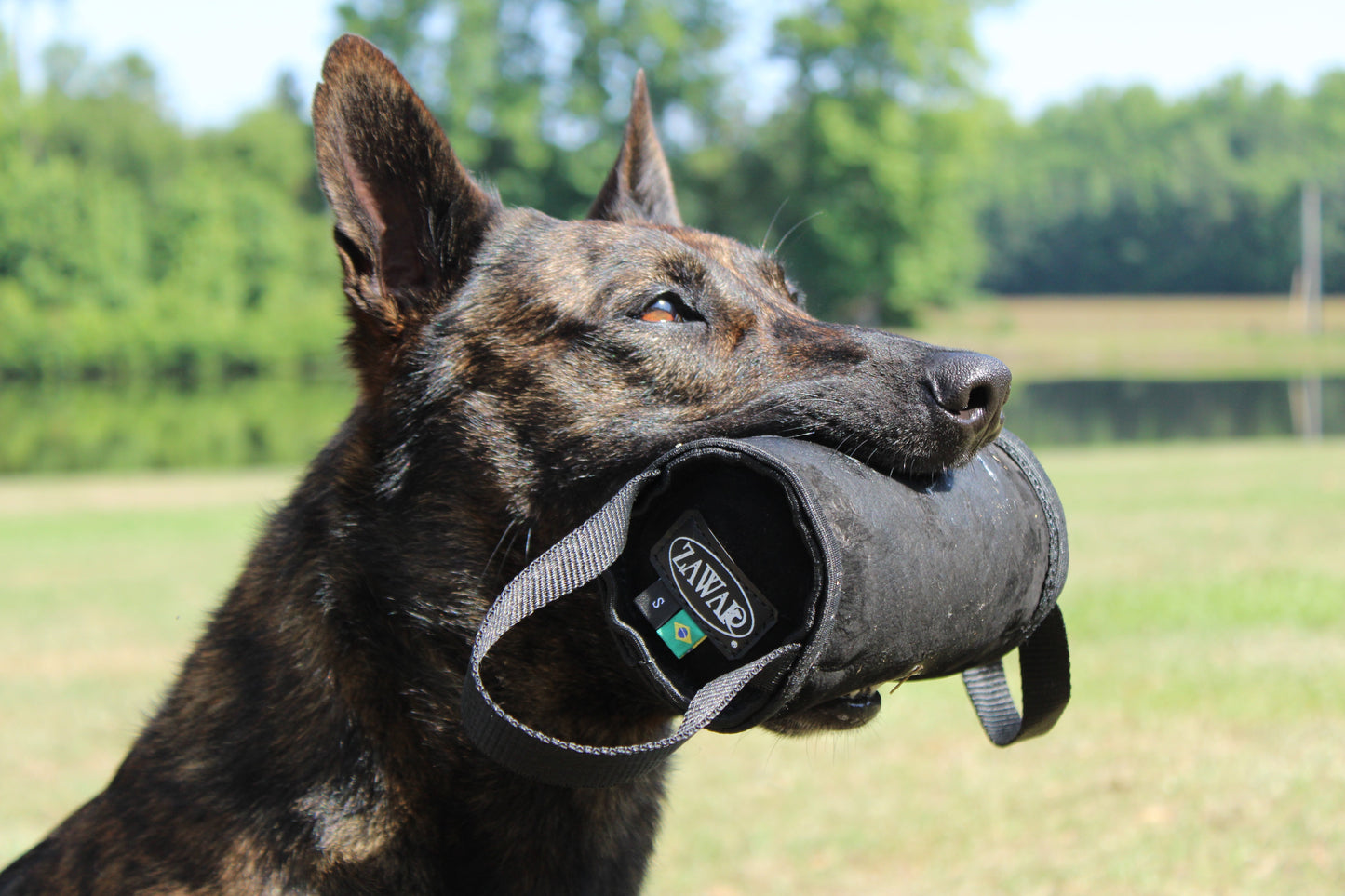 Zawar Genuine Leather Bite Roll Teether - Small (high density)