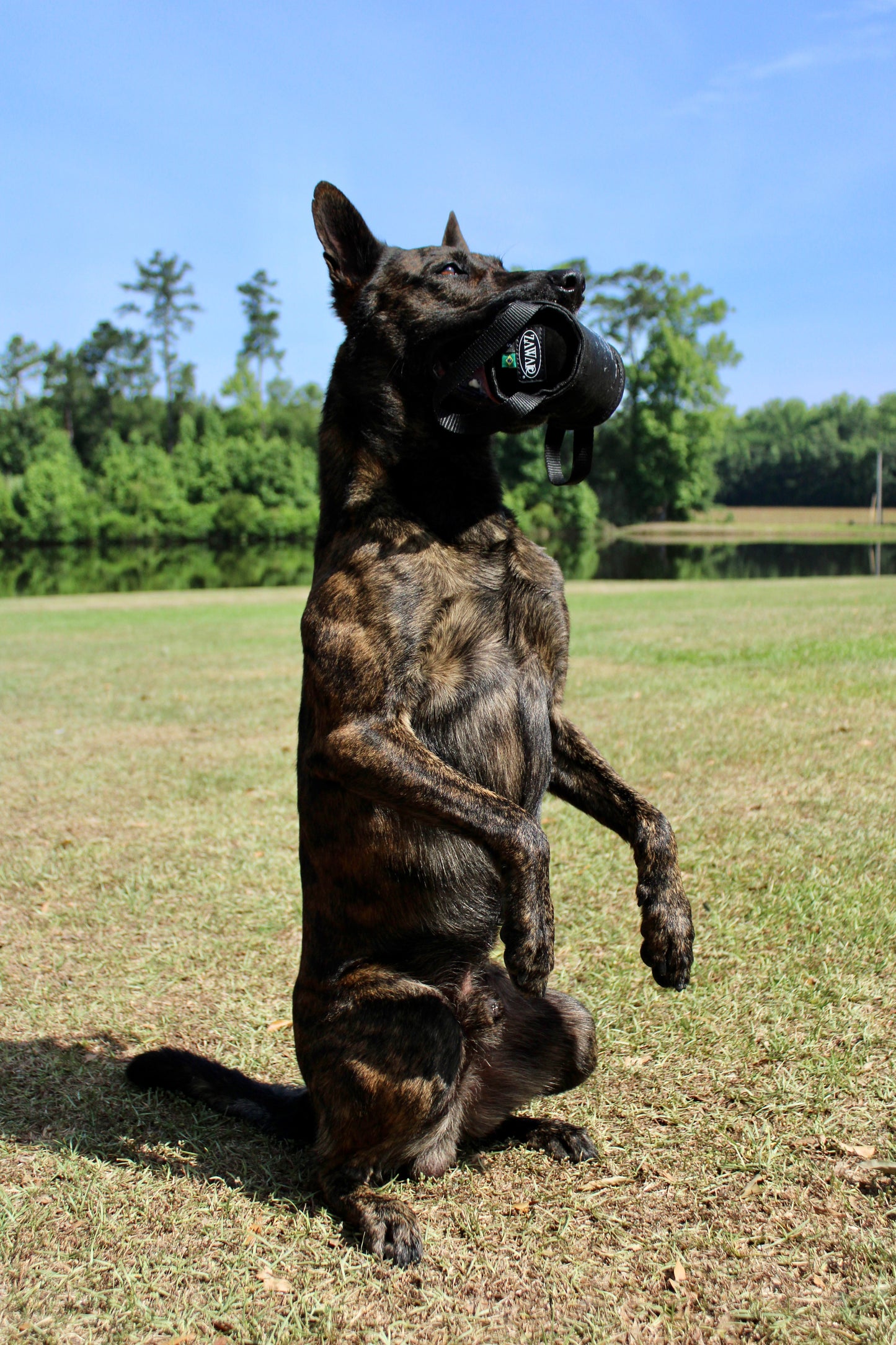 Zawar Genuine Leather Bite Roll Teether - Small (high density)