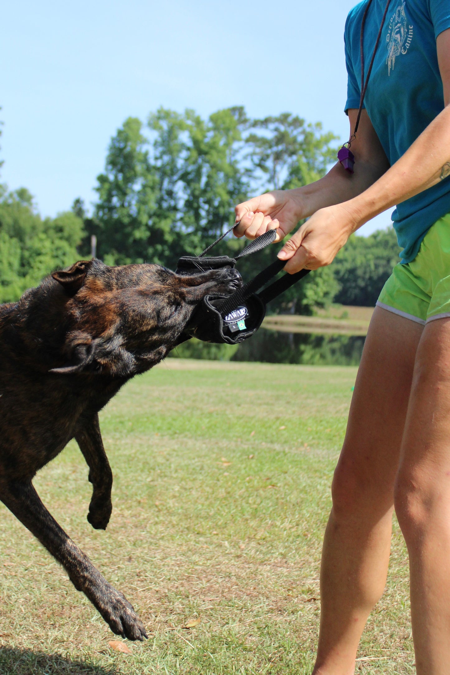 Zawar Genuine Leather Bite Roll Teether - Small (high density)