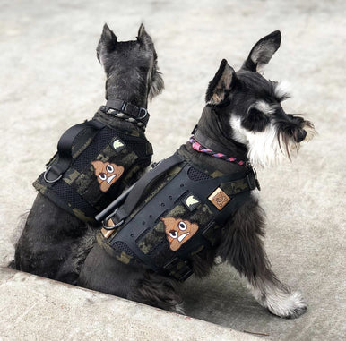 STINKY POOP Morale Patch