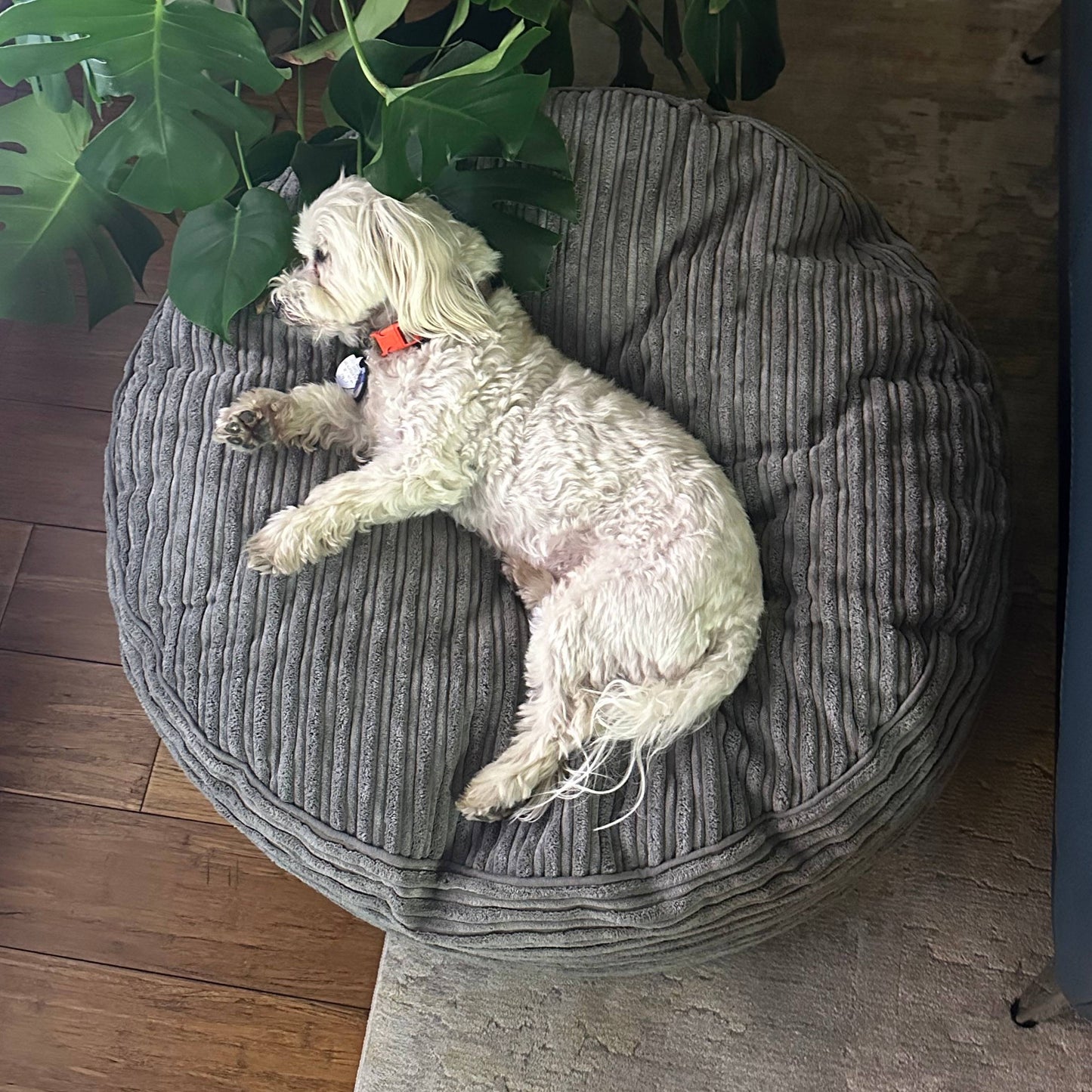 Cordaroy's Inch Forever Dog Beds (Waterproof) - Terry Corduroy