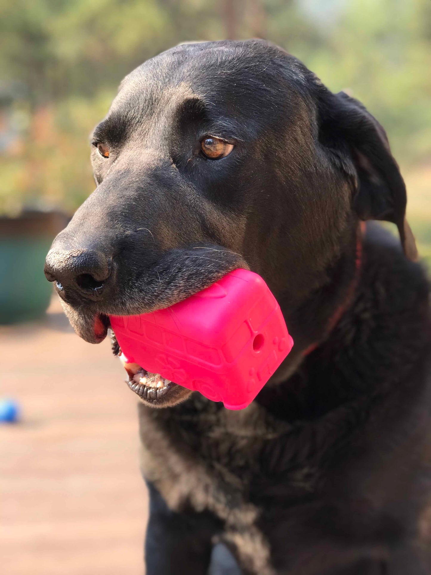 Surf's Up! Retro Van Durable Chew Toy & Treat Dispenser