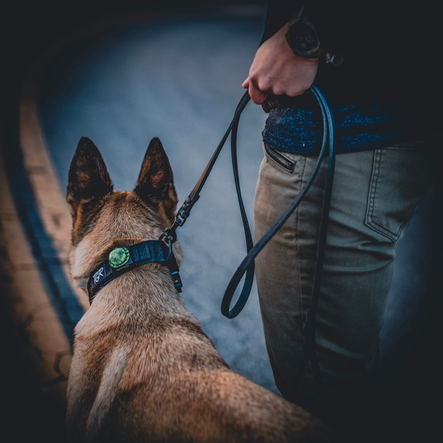 The Golden Ranch The Everyday Leash