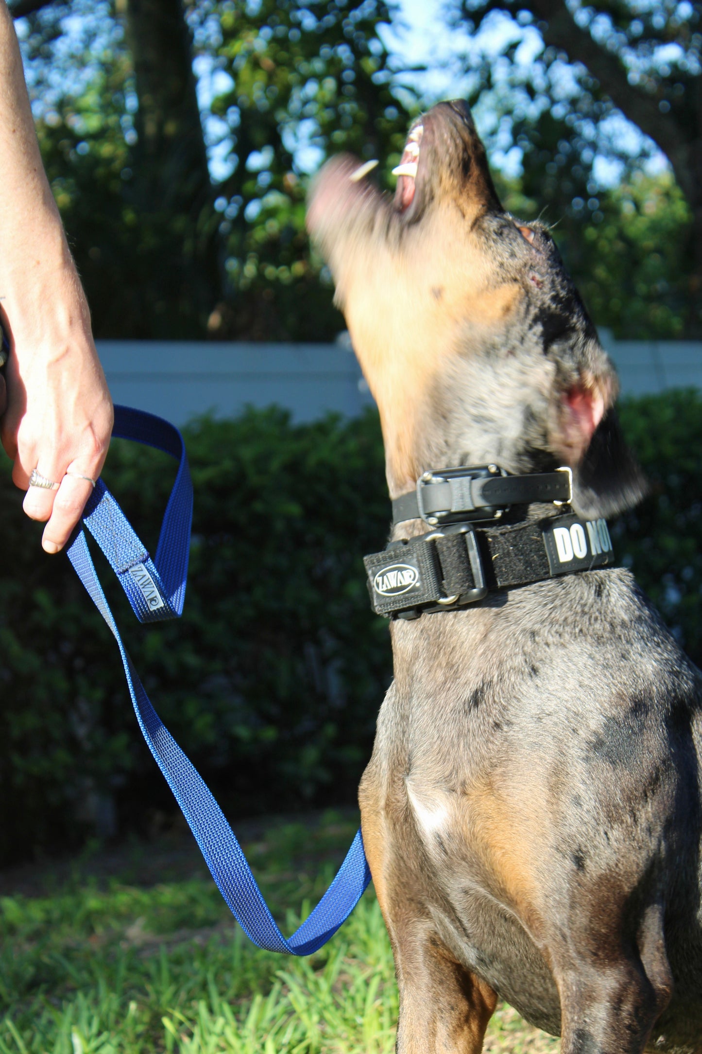 Zawar Rubberized Non-Slip Leash