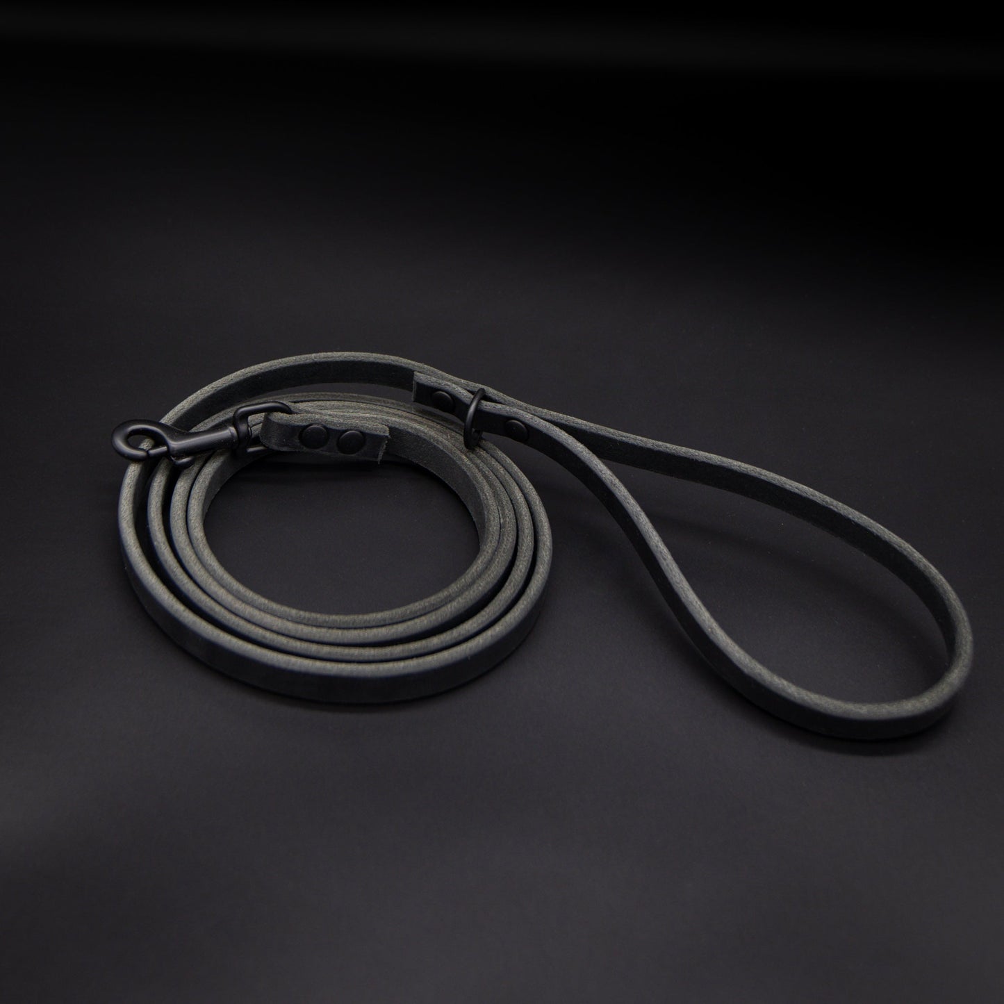 The Golden Ranch The Everyday Leash