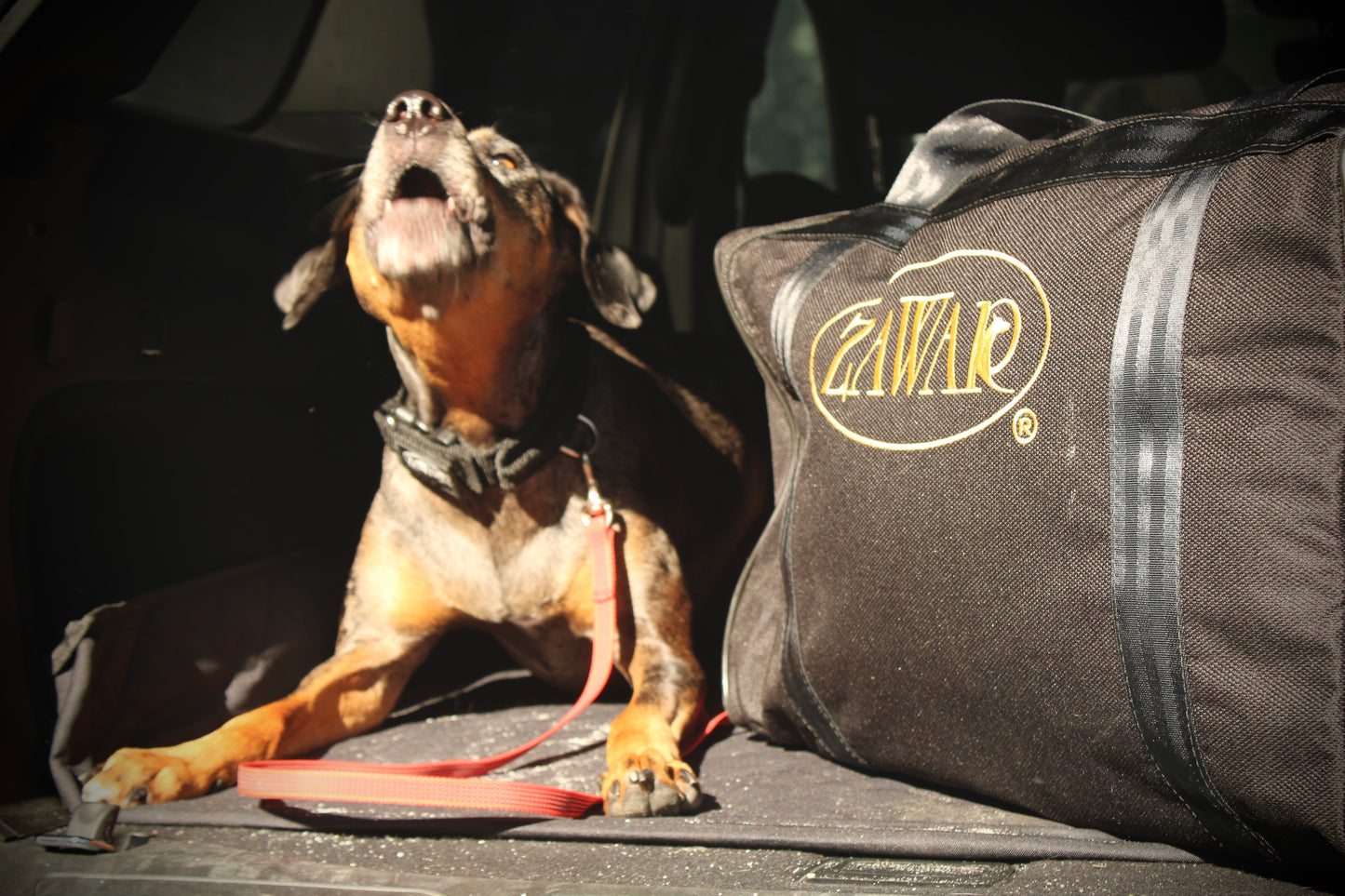 Zawar Heavy Duty Duffel Bag