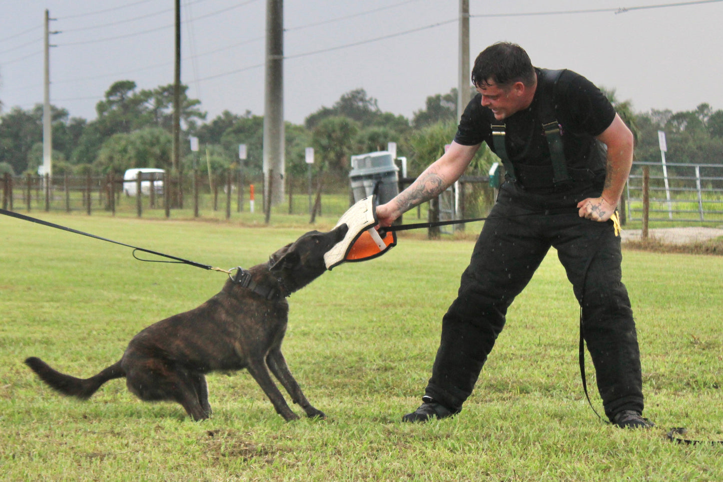 Zawar Jute Bite Wedge - Triple Handle European Model