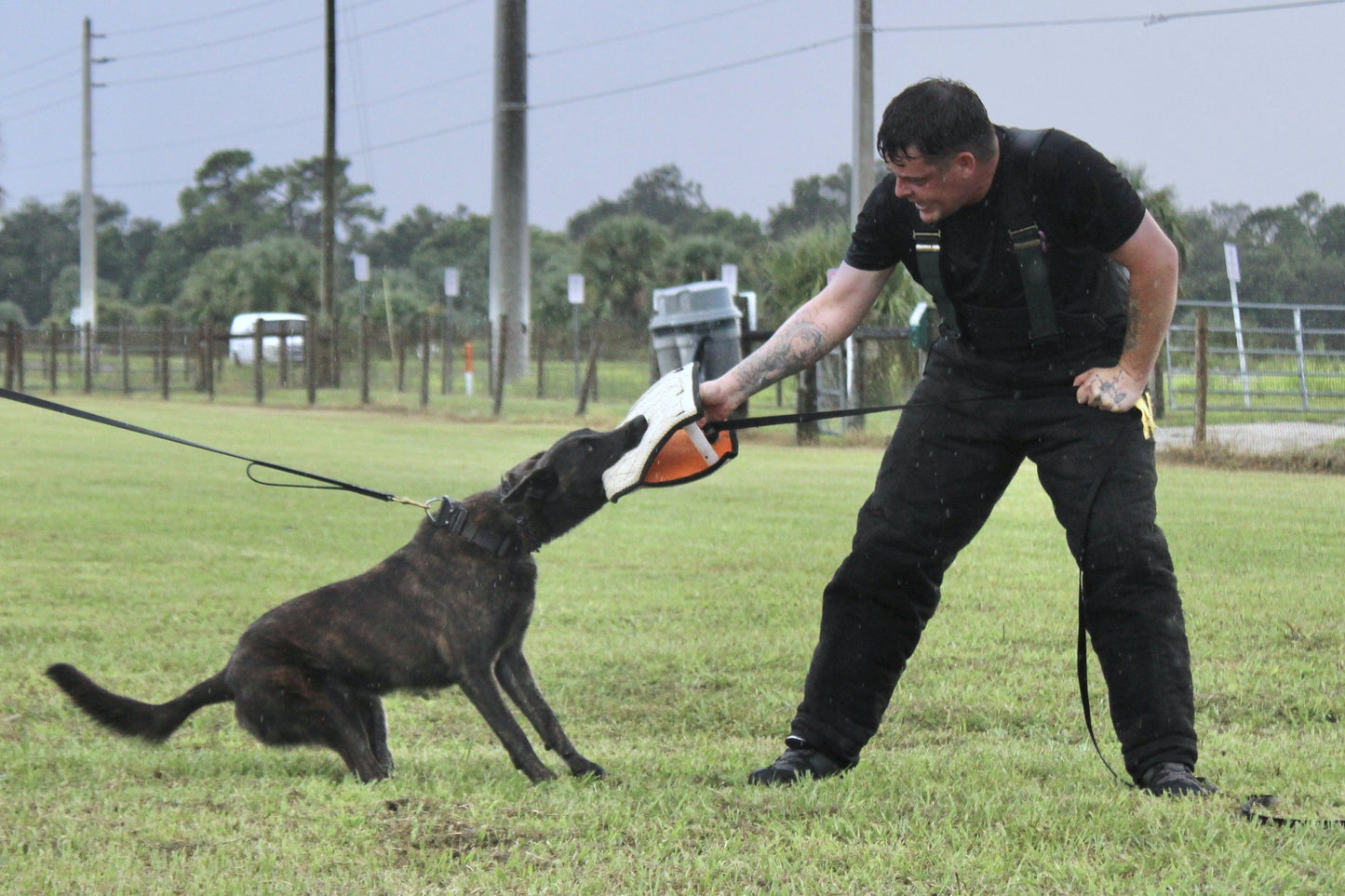 Zawar Synthetic Structured Bite Wedge - Triple Handle European Model