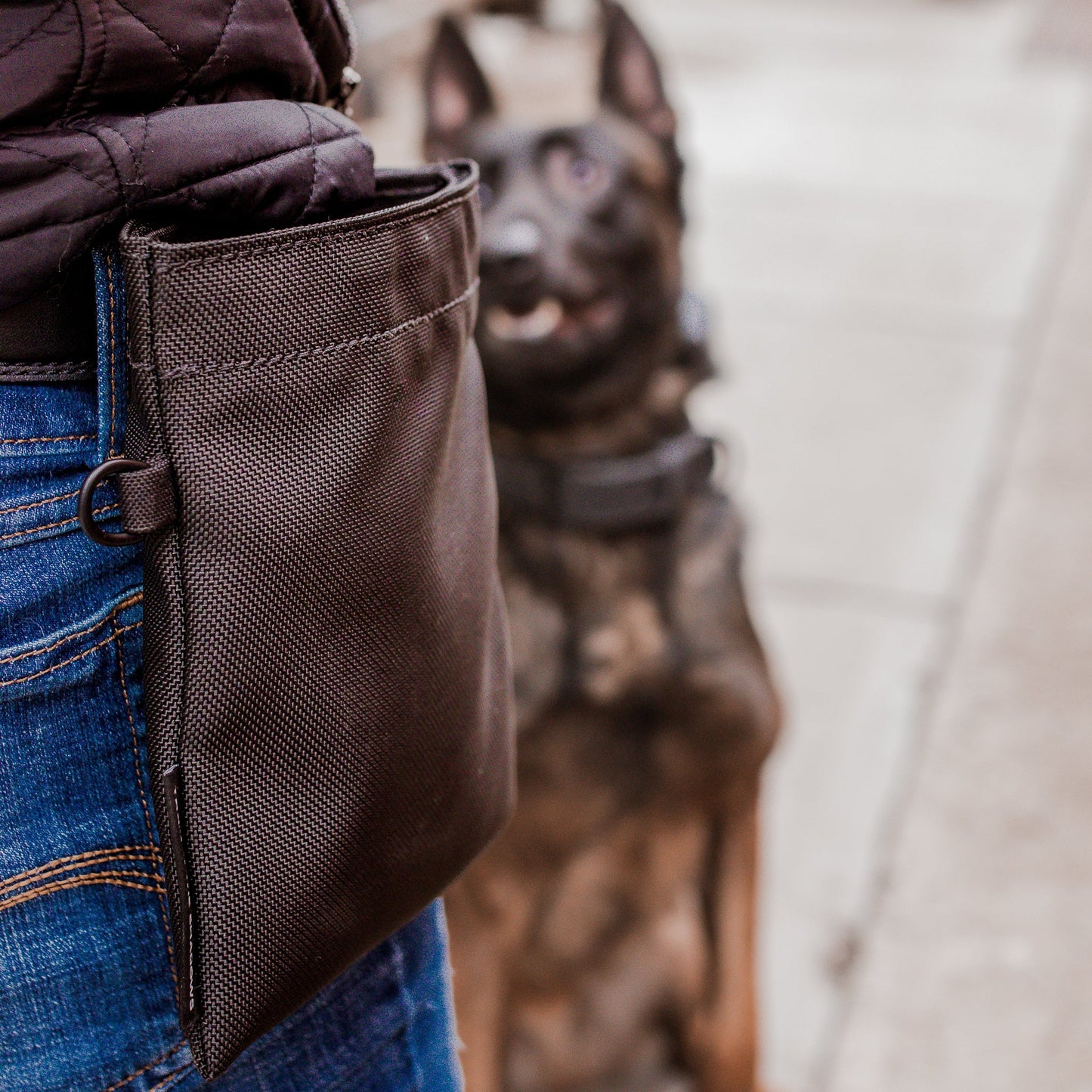 The Golden Ranch Black Ballistic Nylon Treat Pouch