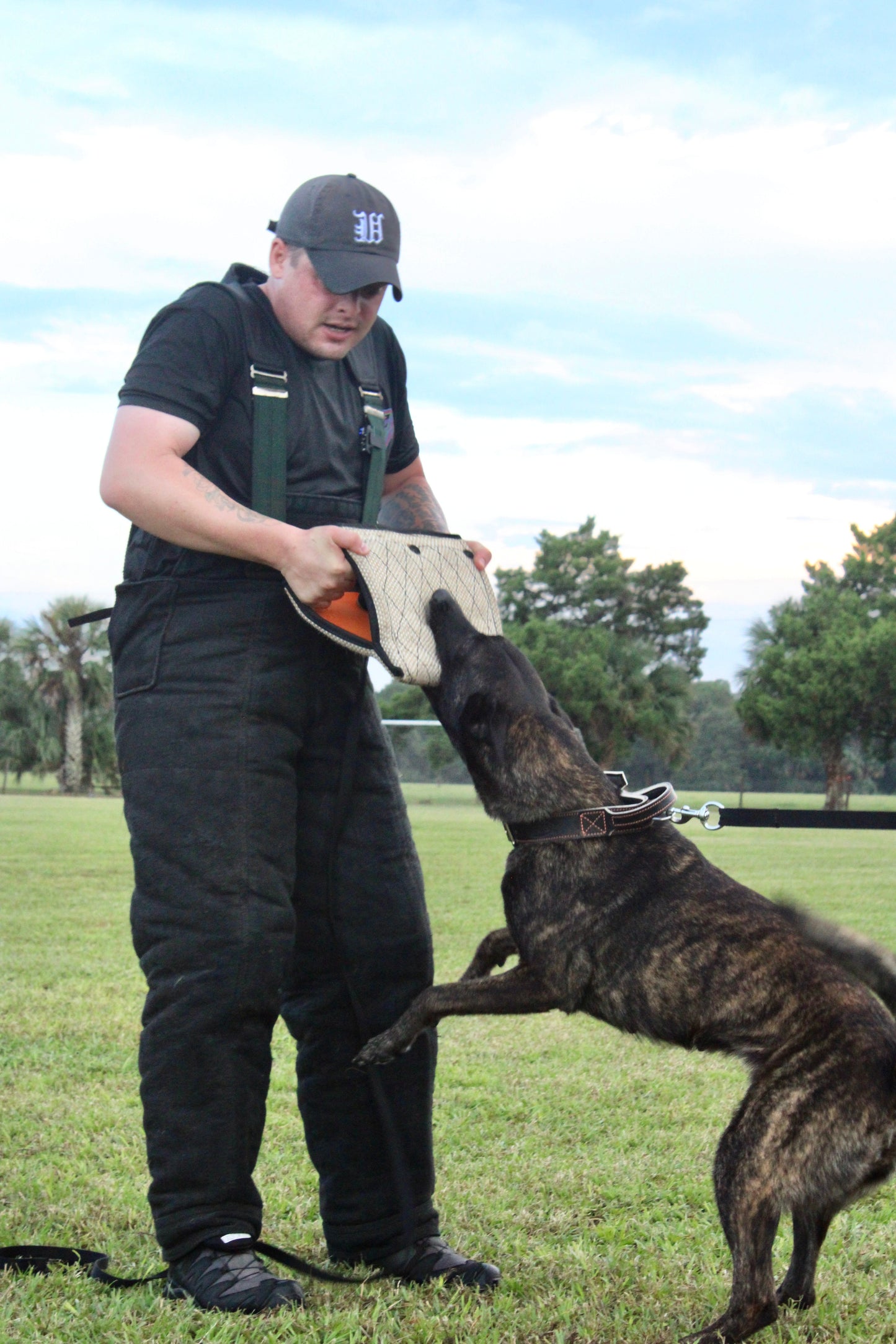 Zawar Jute Bite Wedge - Triple Handle European Model