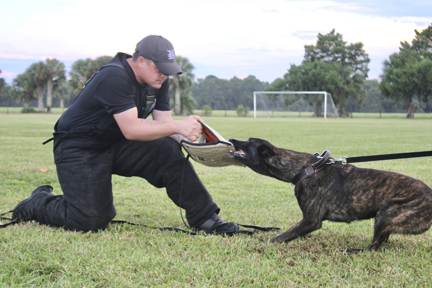 Zawar Synthetic Structured Bite Wedge - Triple Handle European Model