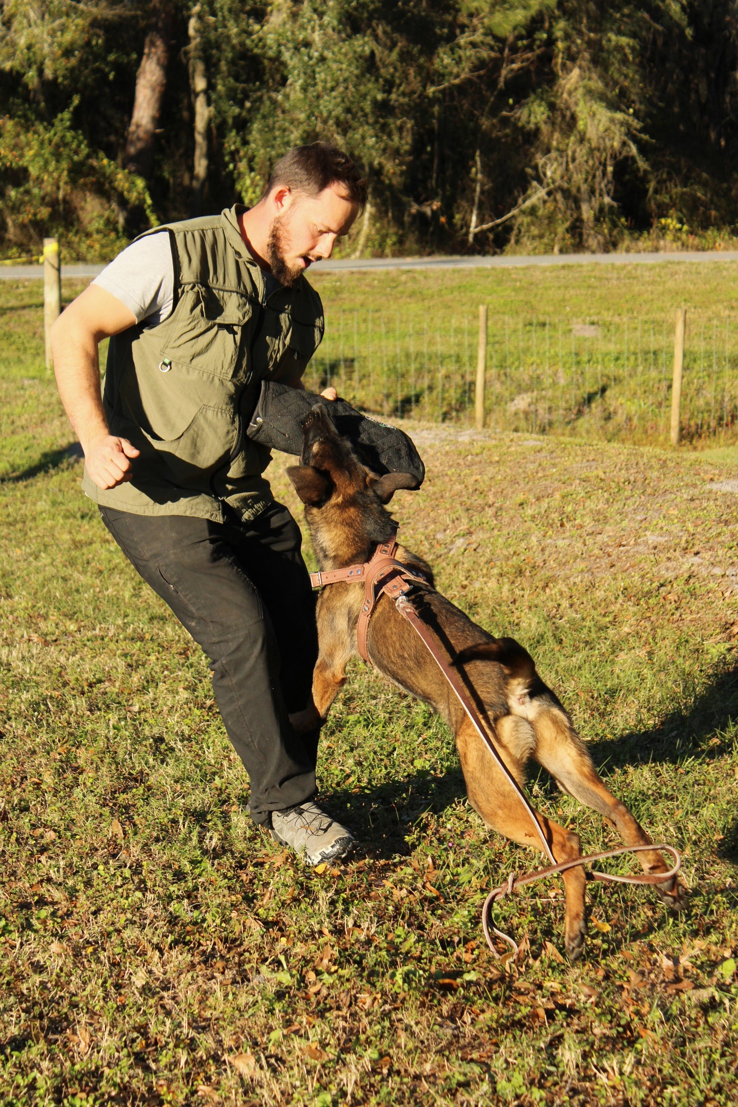 Zawar High Density Half Sleeve - Synthetic Fabric