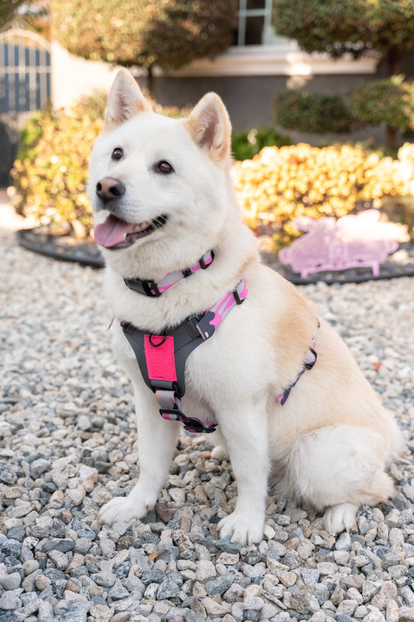 Kiloniner K9R - M1 LightSpeed Harness