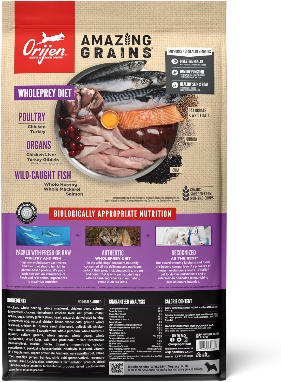 Orijen Amazing Grains Puppy Large Breed Dry Dog Food (22.5lb)