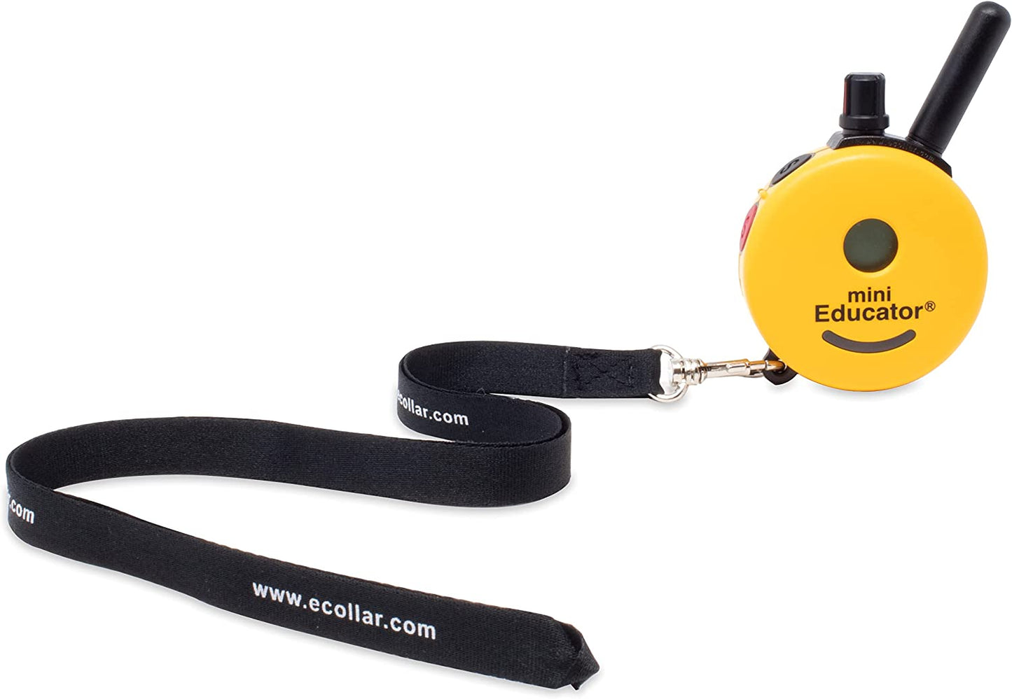 Lanyard
