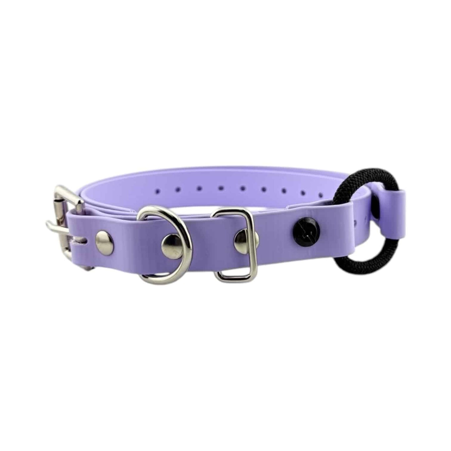 E-Collar Technologies 3/4" Bungee Collar Strap (33" Length)