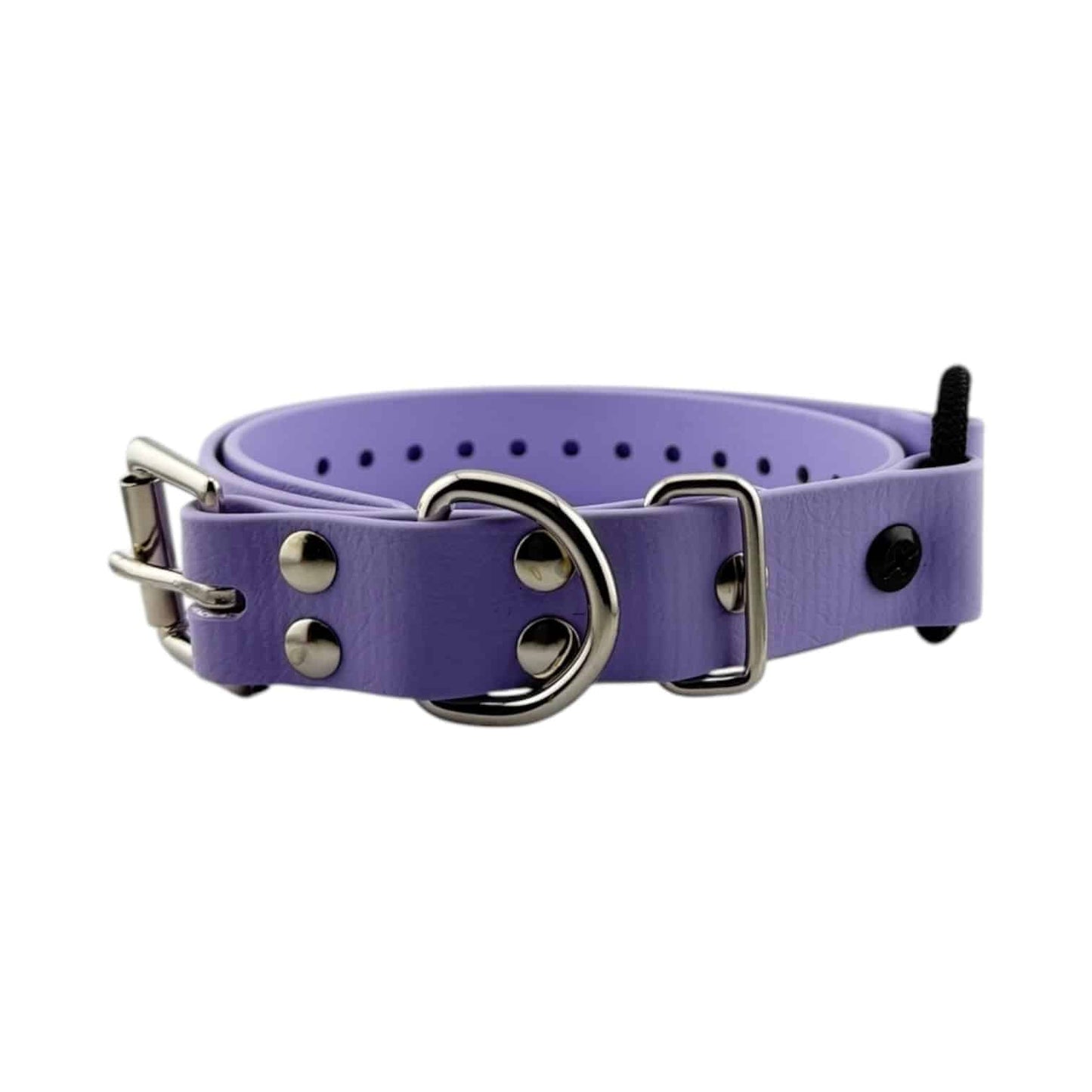 E-Collar Technologies 1" Bungee Collar Strap (33" Length)
