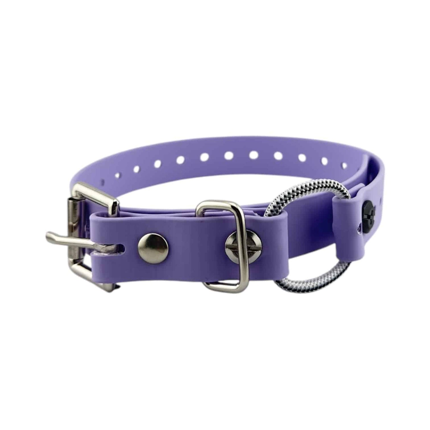 E-Collar Technologies 3/4" Mini Bungee Collar Strap for Small Dogs