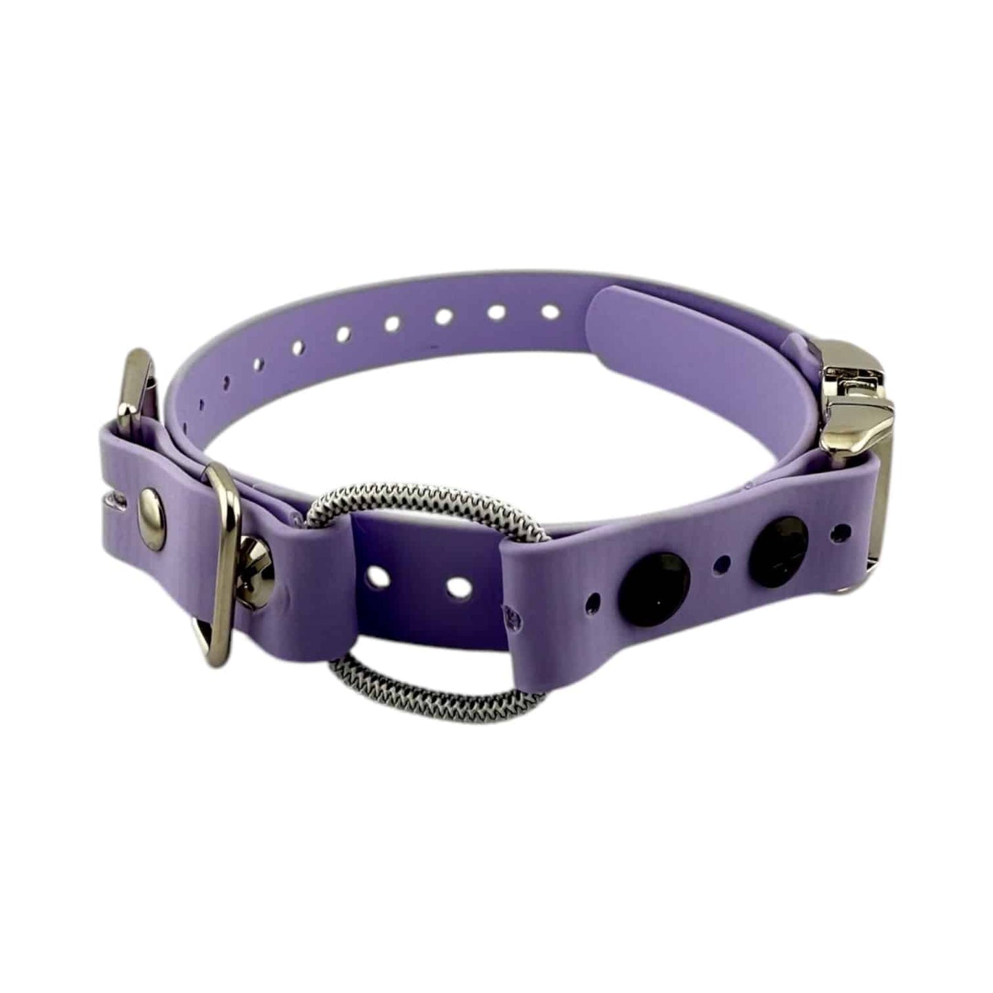 E-Collar Technologies 3/4" Quick Snap Mini Bungee Collar Strap for Small Dogs