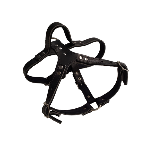 Zawar Genuine Leather Harness