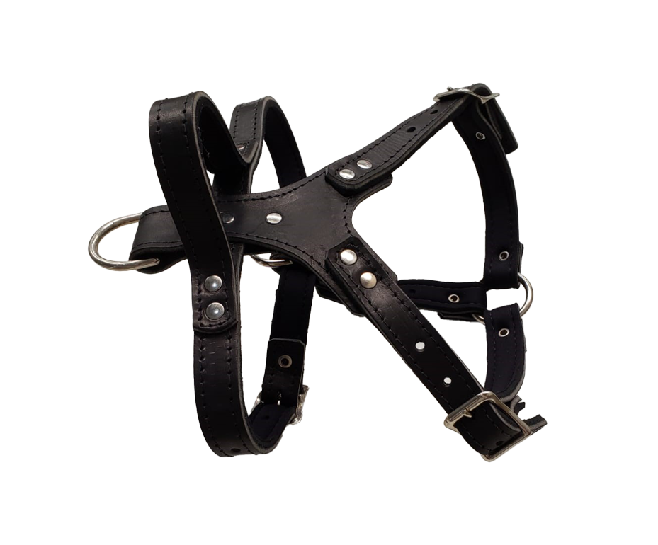 Zawar Genuine Leather Harness