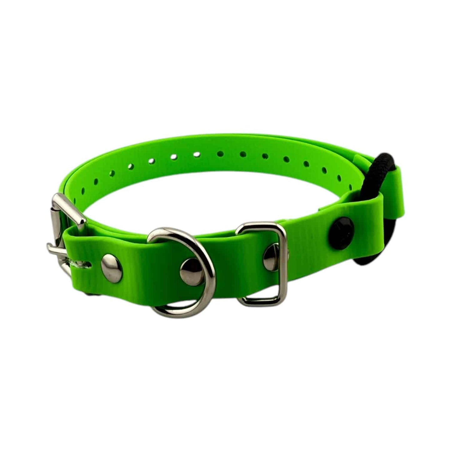 E-Collar Technologies 3/4" Bungee Collar Strap (33" Length)