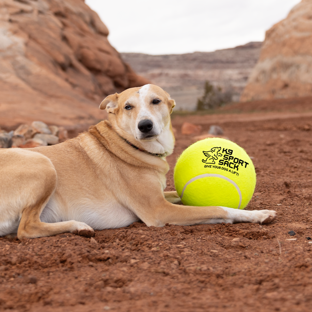 K9 Sport Sack Too Big to Chew Tennis Ball