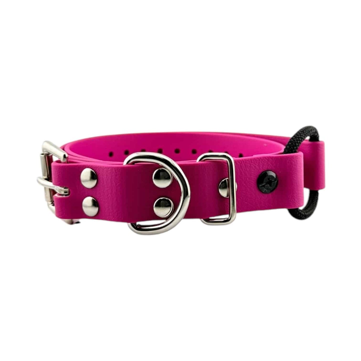 E-Collar Technologies 1" Bungee Collar Strap (33" Length)