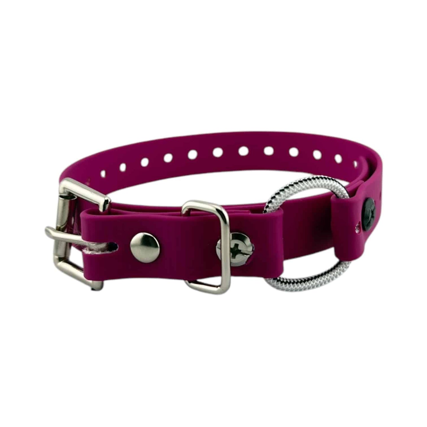 E-Collar Technologies 3/4" Mini Bungee Collar Strap for Small Dogs