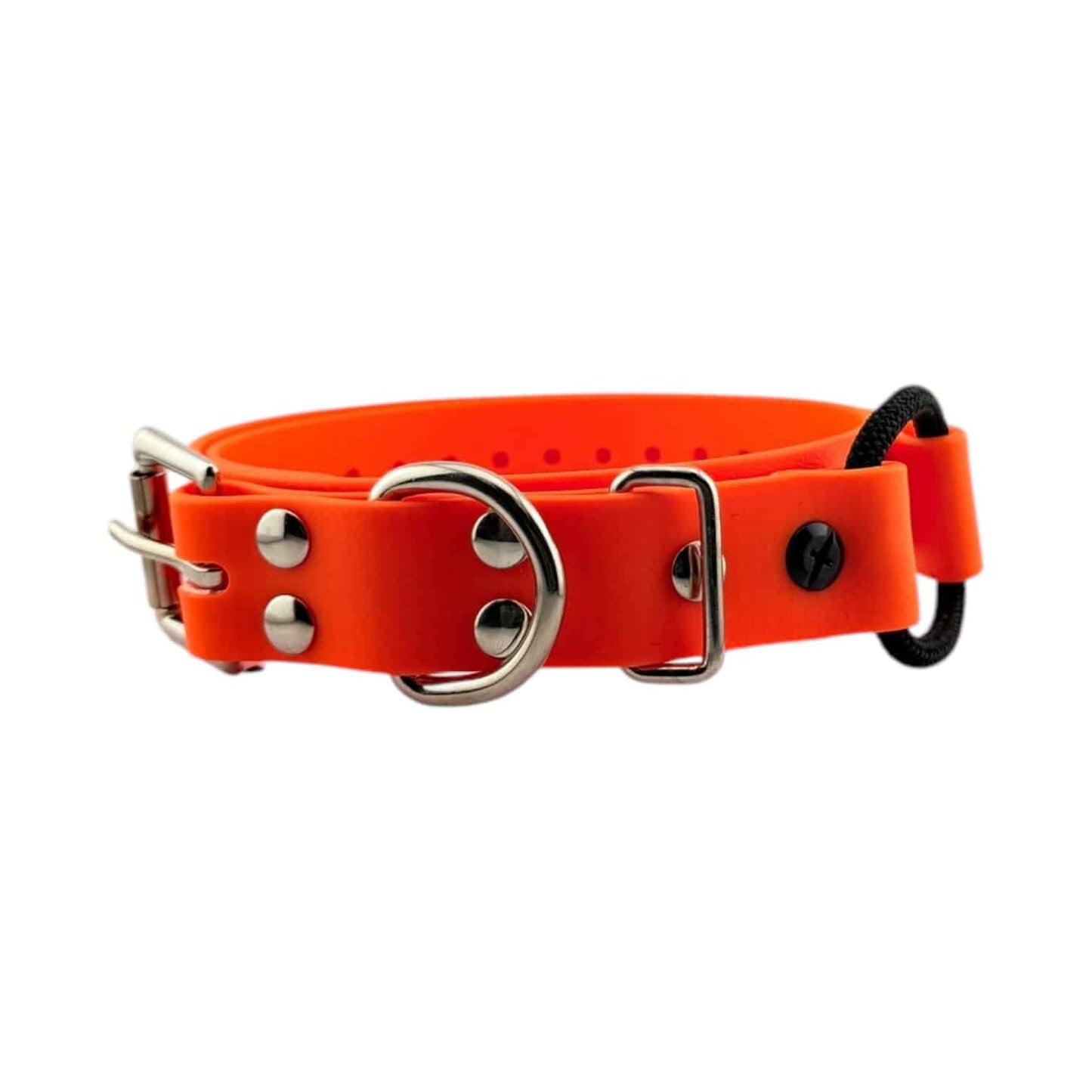 E-Collar Technologies 1" Bungee Collar Strap (33" Length)