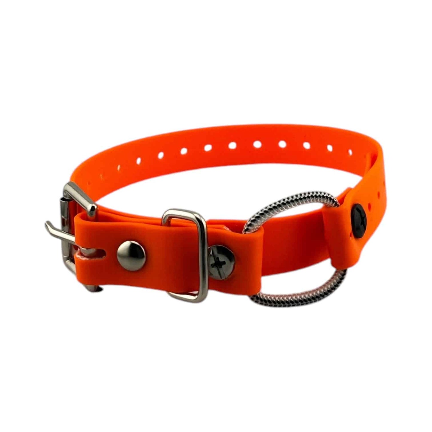 E-Collar Technologies 3/4" Mini Bungee Collar Strap for Small Dogs