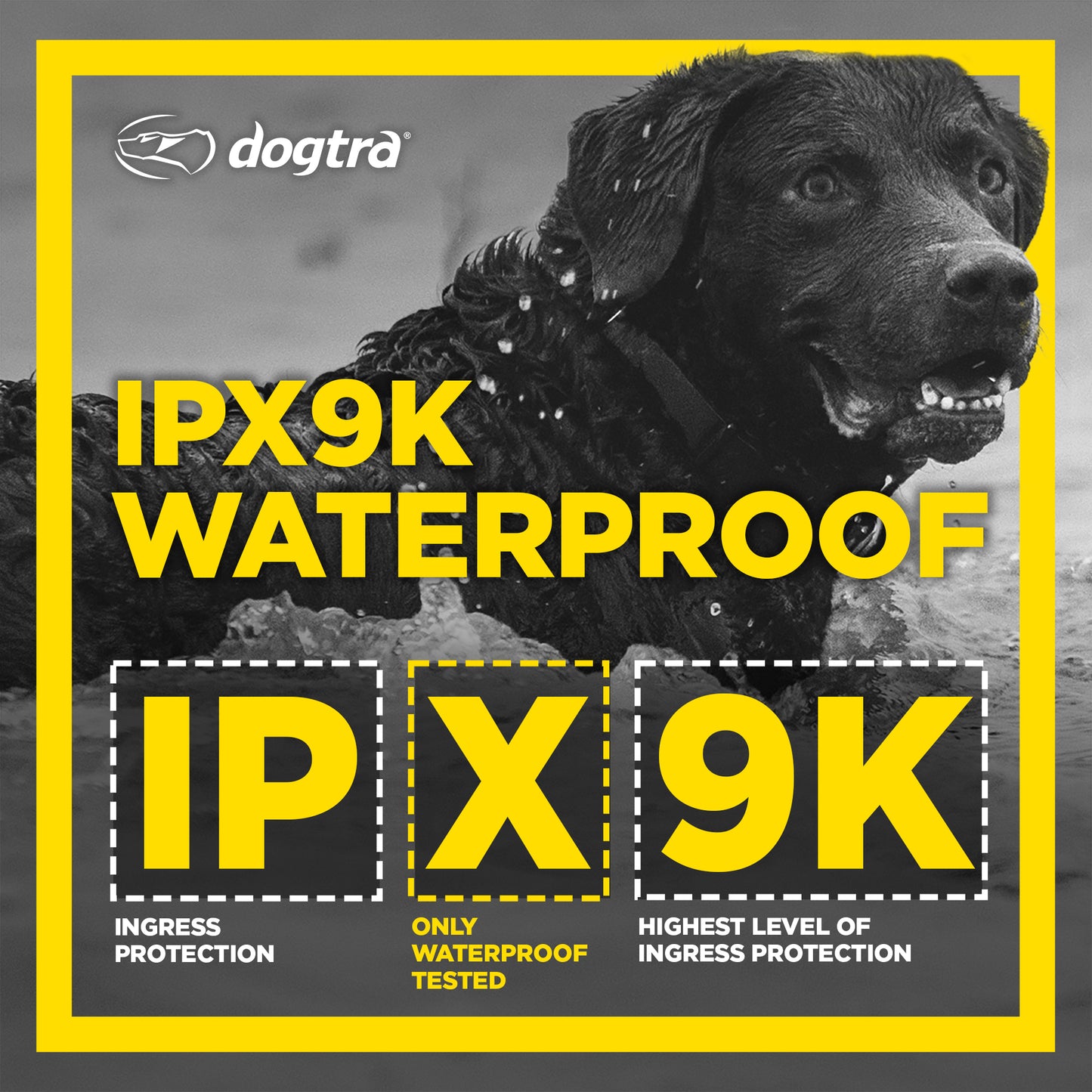 Dogtra 1900S Black Edition B&L