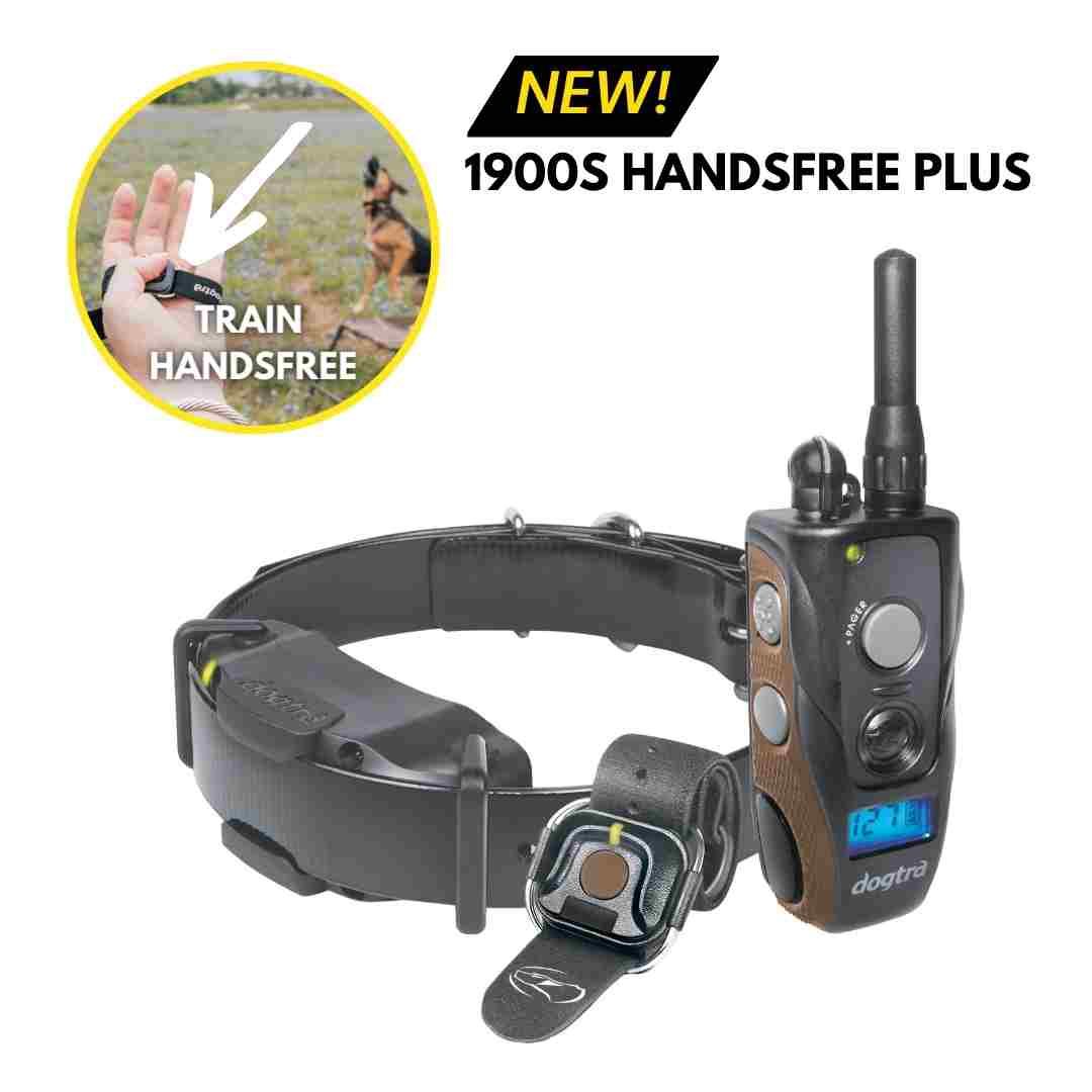 Dogtra 1900S Handsfree Plus B&L