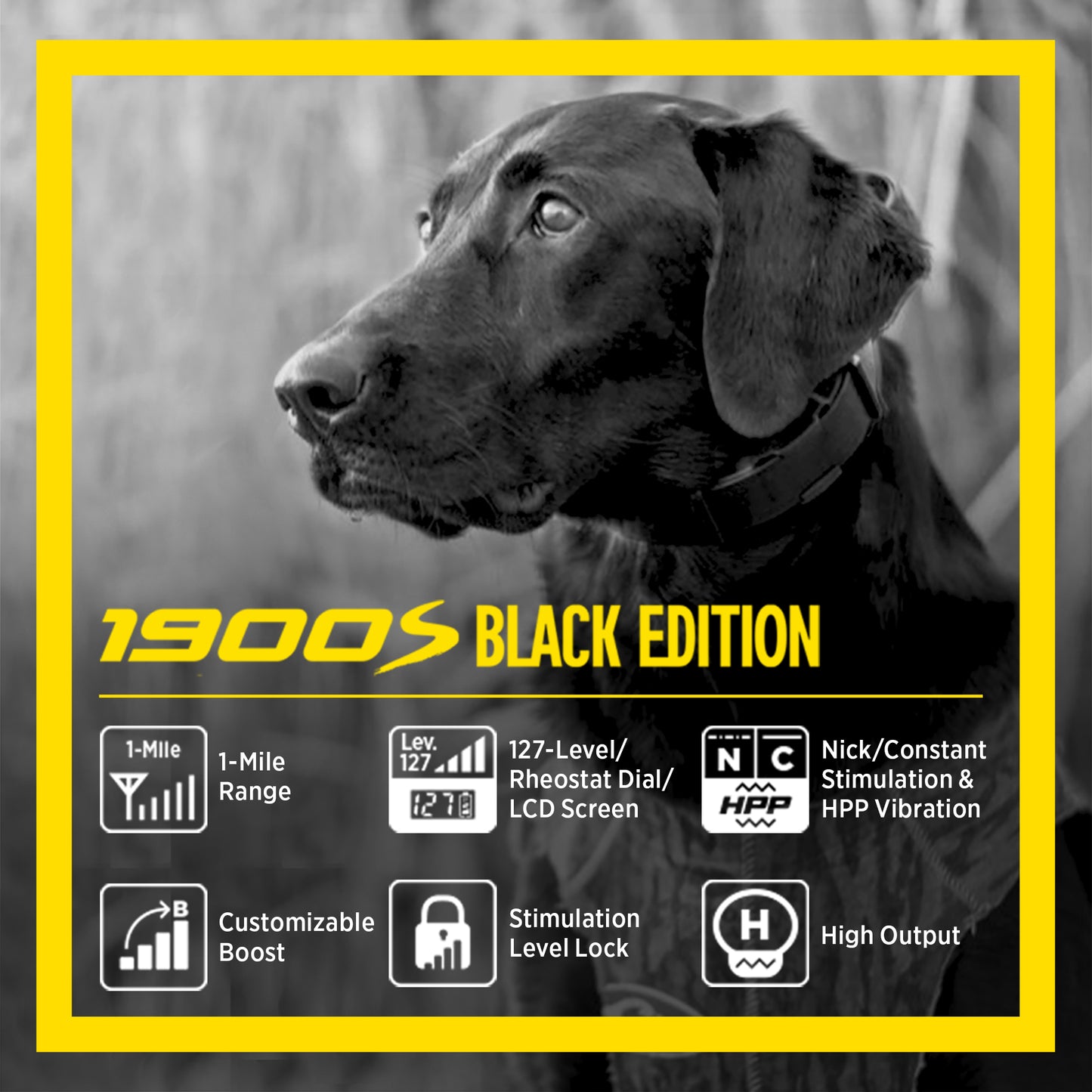 Dogtra 1900S Black Edition B&L