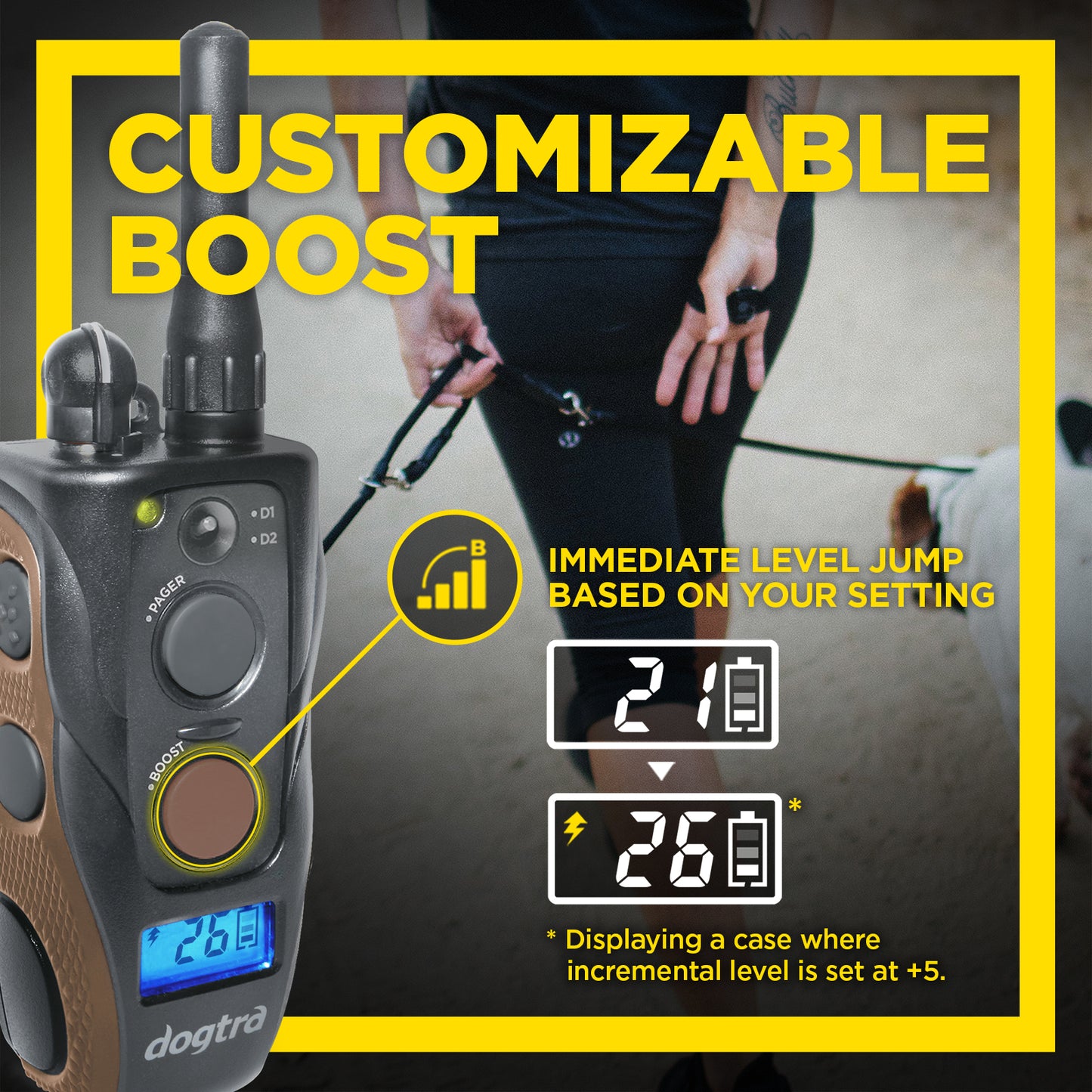 Dogtra ARC Handsfree Plus B&L