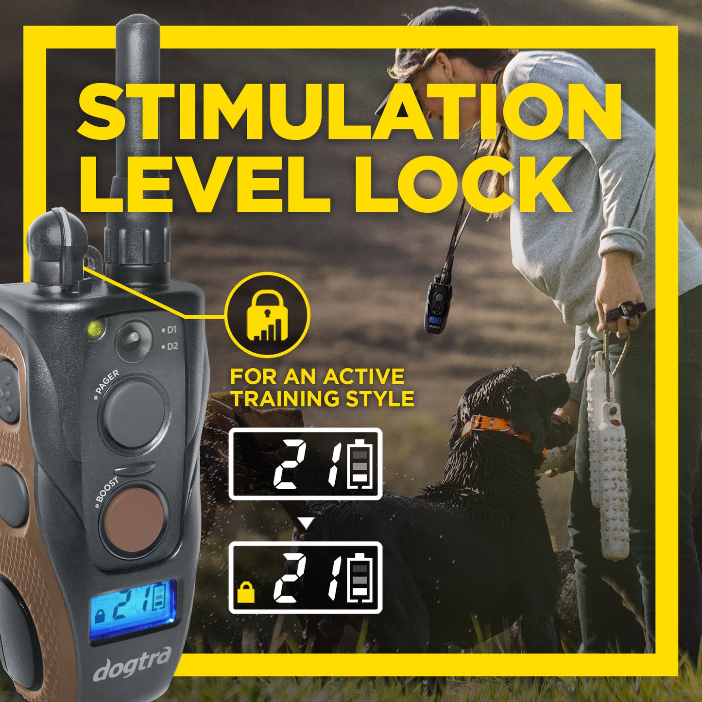 Dogtra ARC Handsfree Plus B&L