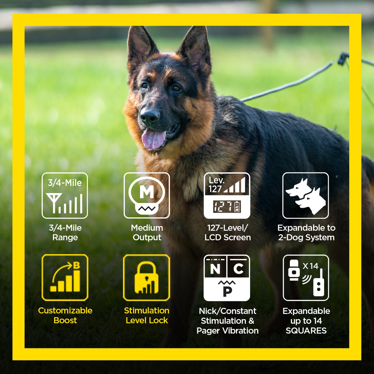 Dogtra ARC Handsfree Plus B&L