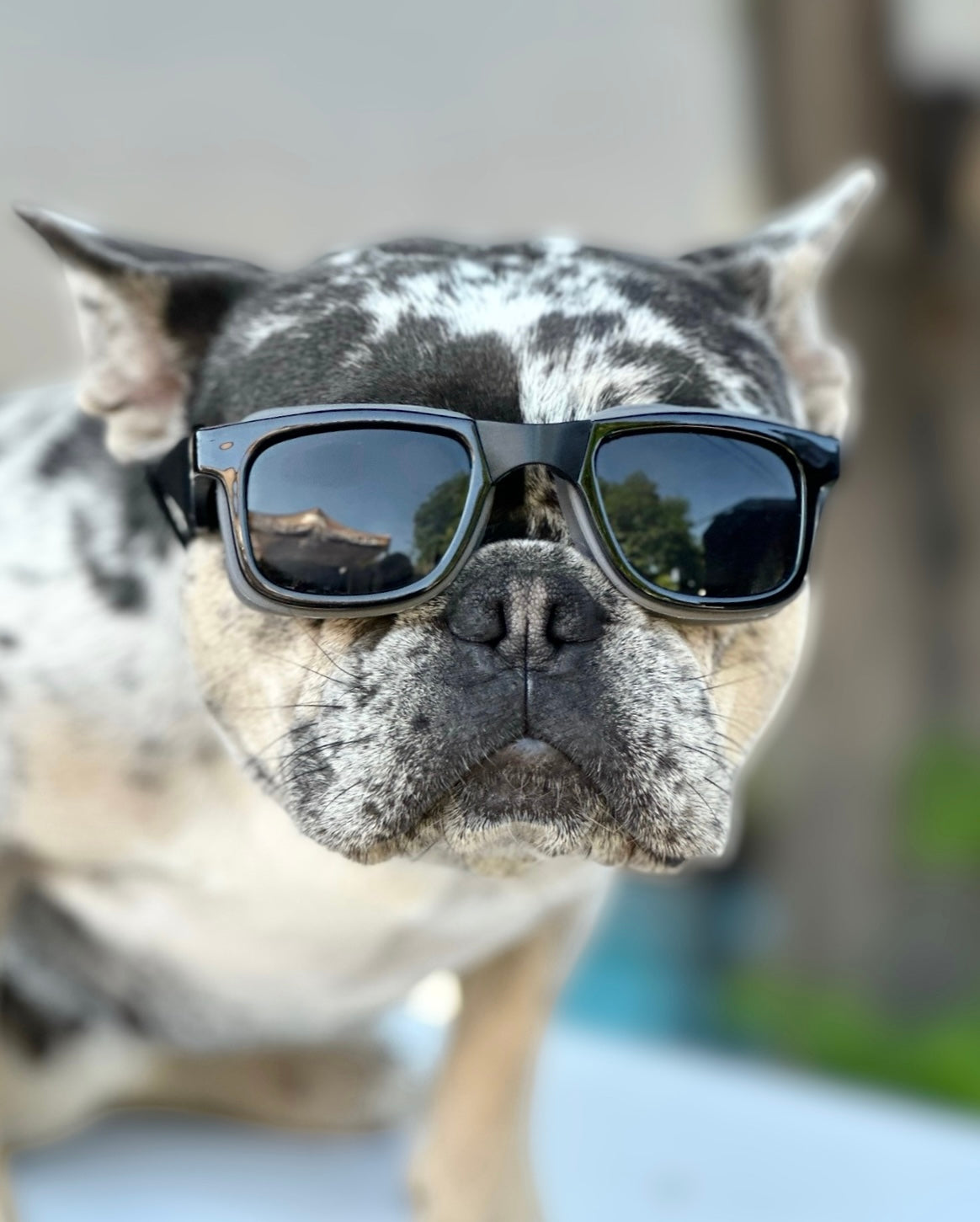Kiloniner W1 Eye Defender Goggles