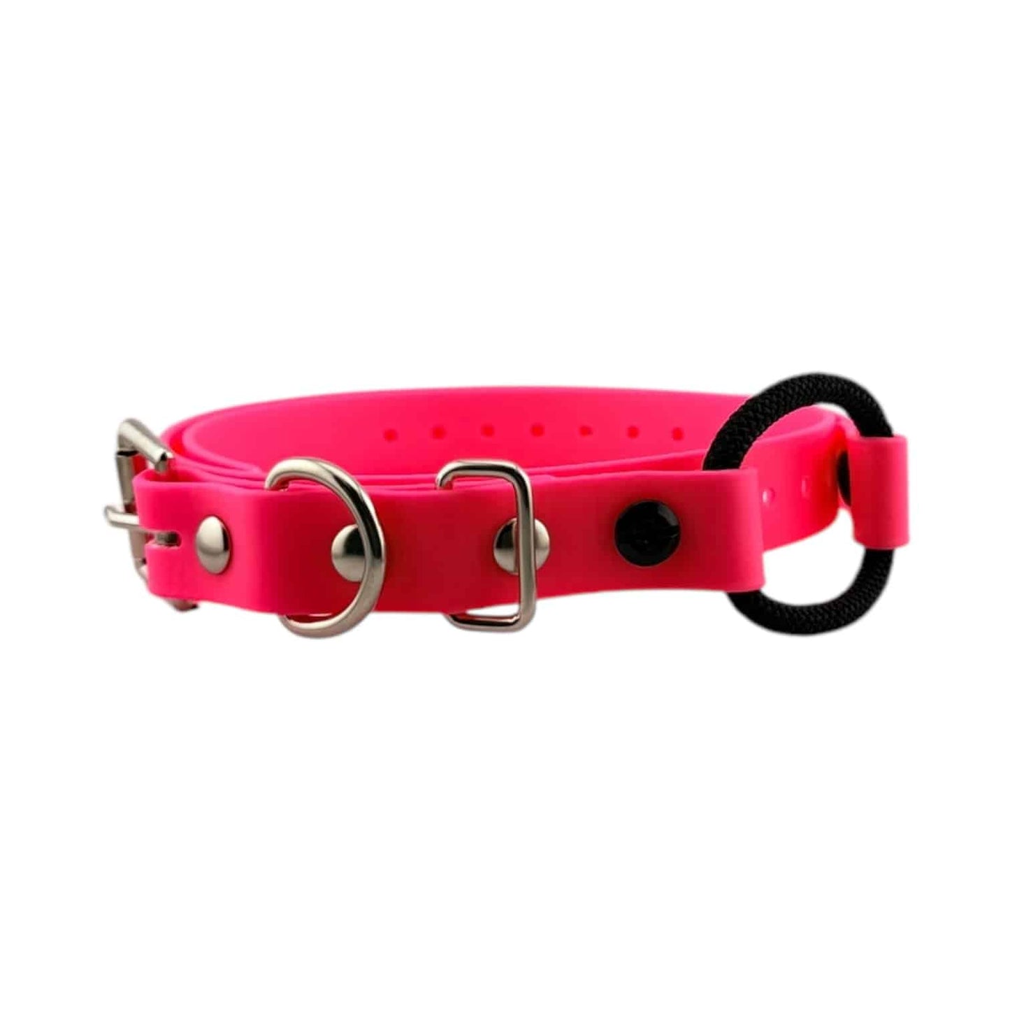 E-Collar Technologies 3/4" Bungee Collar Strap (33" Length)
